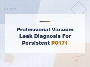 Professional Vacuum Leak Diagnosis for Persistent P0171